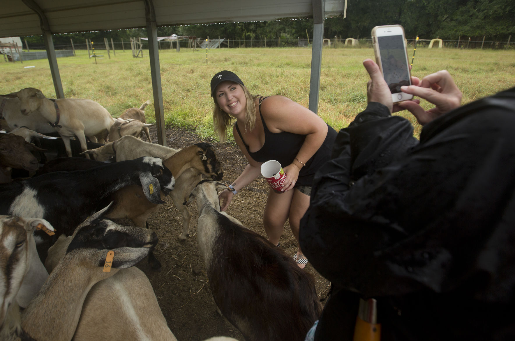 feeding goats.jpg